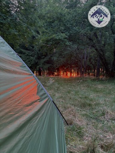 Tente verte avec un coucher de soleil visible à travers des arbres.